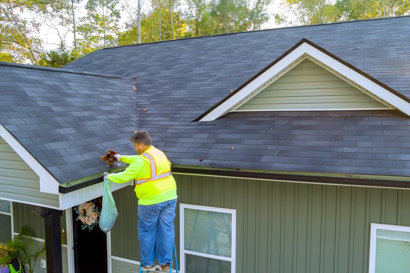 Clean Gutter Systems
